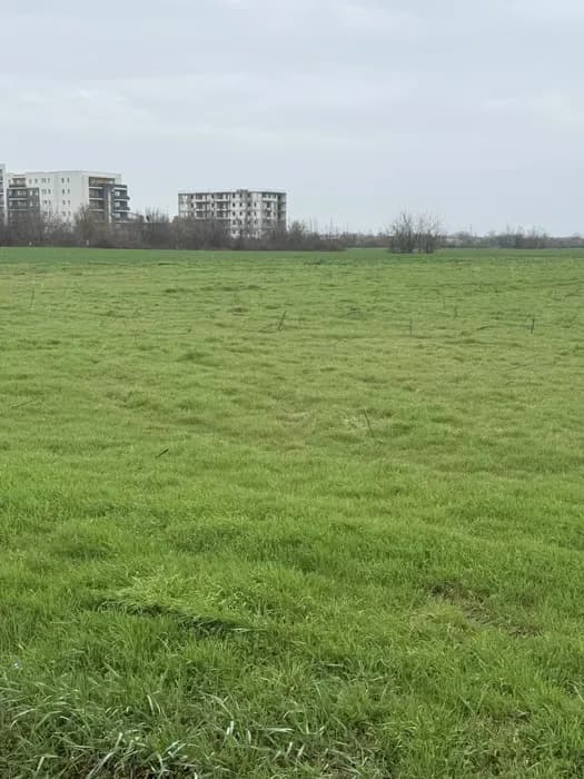 Schimb teren 3000 mp Ploiesti cu autoturism. | Preț: 40.000 EUR | Locație: Ploiești, Prahova Schimb teren 3000 mp Ploiesti cu autoturism. - Ploiești, Prahova - 40.000 EUR - anunț second hand