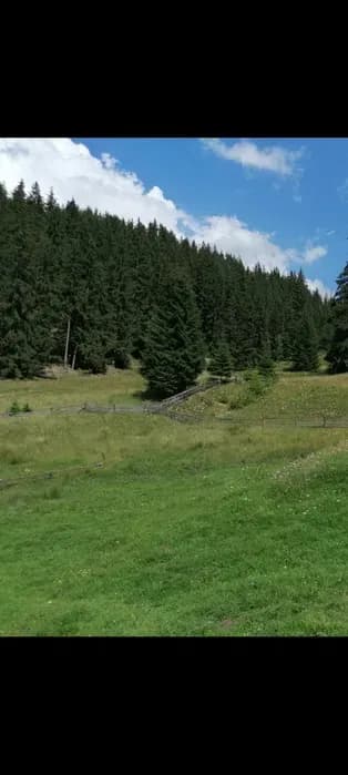VAND /SCHIMB cu AUTO teren 3,6 ha la munte BUCOVINA parcelabil | Preț: 2,7 EUR | Locație: Parau Negrel, Suceava VAND /SCHIMB cu AUTO teren 3,6 ha la munte BUCOVINA parcelabil - Parau Negrel, Suceava - 2,7 EUR - anunț second hand